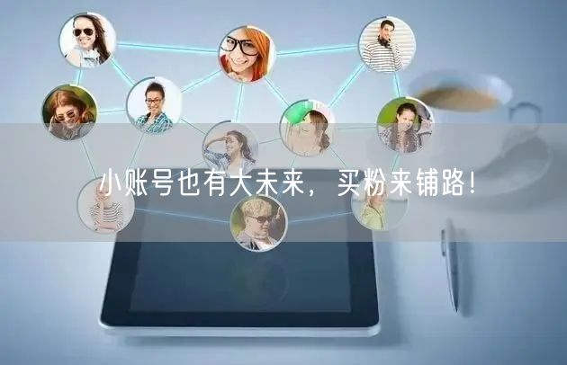 小账号也有大未来，买粉来铺路！