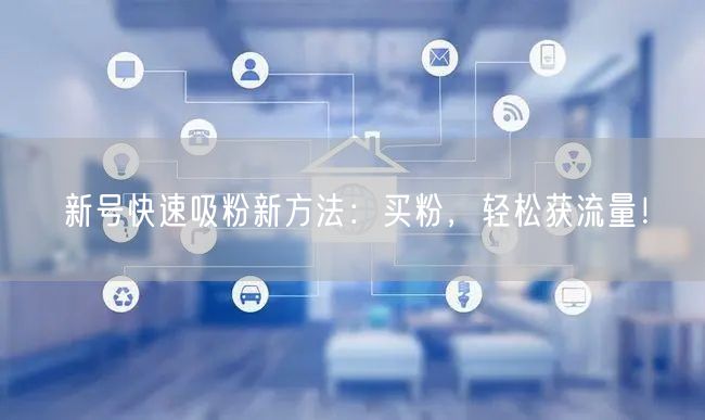 新号快速吸粉新方法：买粉，轻松获流量！