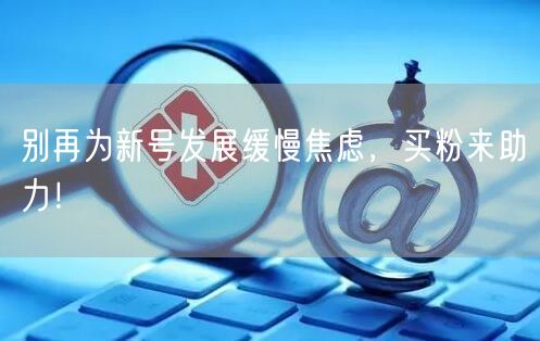 别再为新号发展缓慢焦虑，买粉来助力！