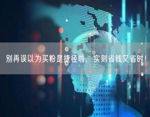 别再误以为买粉是捷径啦，实则省钱又省时！
