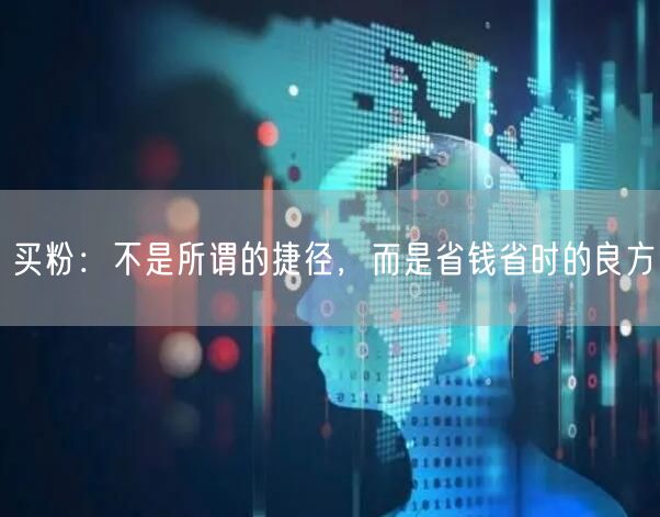 买粉：不是所谓的捷径，而是省钱省时的良方