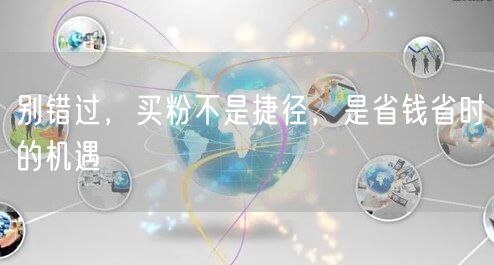 别错过，买粉不是捷径，是省钱省时的机遇
