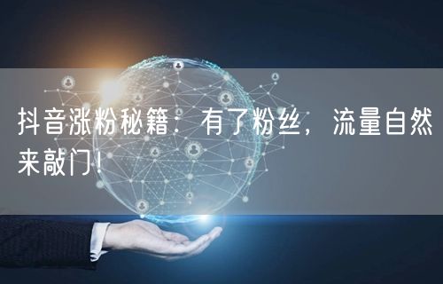 抖音涨粉秘籍：有了粉丝，流量自然来敲门！