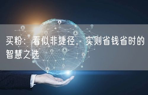 买粉：看似非捷径，实则省钱省时的智慧之选