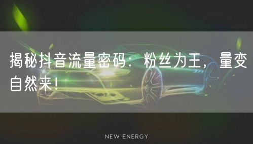 揭秘抖音流量密码：粉丝为王，量变自然来！