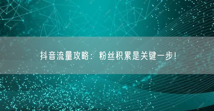 抖音流量攻略：粉丝积累是关键一步！