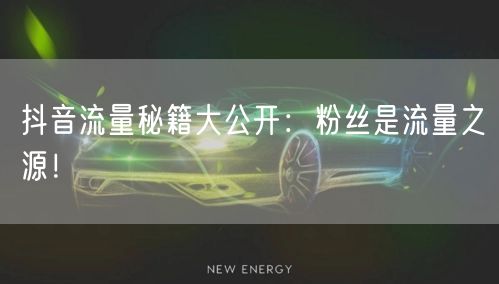 抖音流量秘籍大公开：粉丝是流量之源！