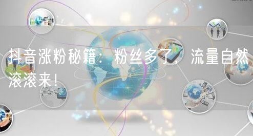 抖音涨粉秘籍：粉丝多了，流量自然滚滚来！