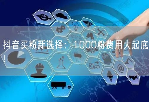 抖音买粉新选择：1000粉费用大起底！