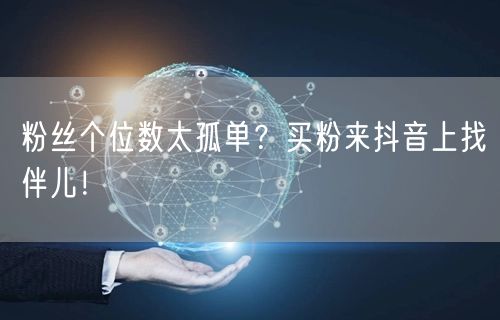 粉丝个位数太孤单？买粉来抖音上找伴儿！