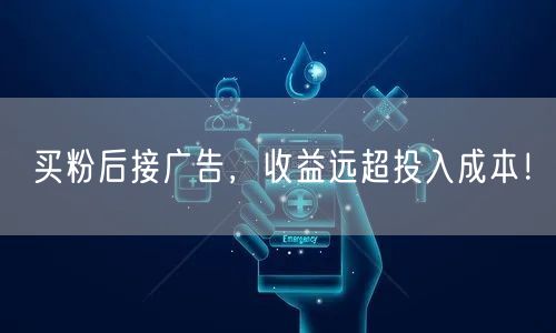 买粉后接广告，收益远超投入成本！