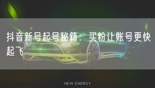 抖音新号起号秘籍：买粉让账号更快起飞