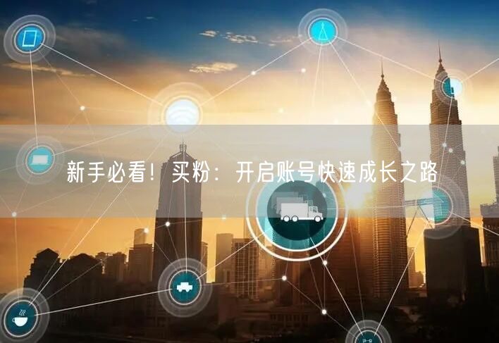 新手必看！买粉：开启账号快速成长之路