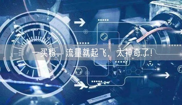 一买粉，流量就起飞，太神奇了！
