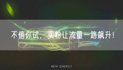 不信你试，买粉让流量一路飙升！