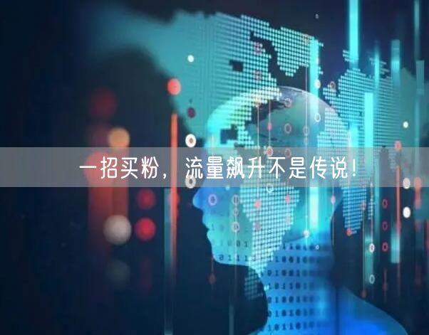 一招买粉，流量飙升不是传说！