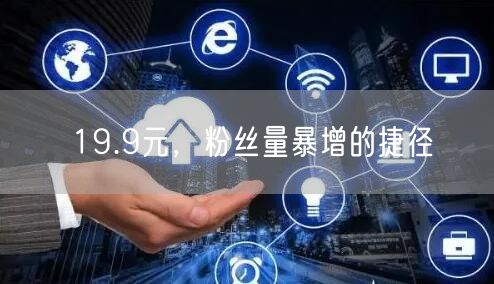 19.9元，粉丝量暴增的捷径