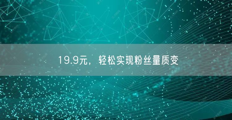 19.9元，轻松实现粉丝量质变