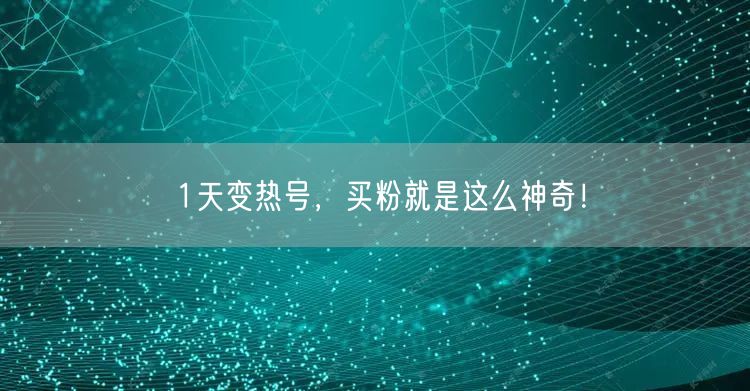 1天变热号，买粉就是这么神奇！