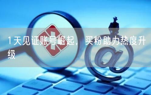 1天见证账号崛起，买粉助力热度升级