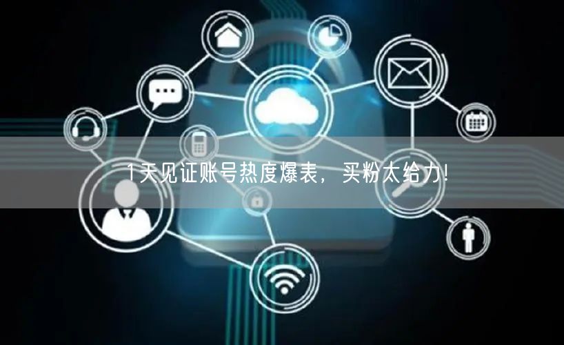 1天见证账号热度爆表，买粉太给力！