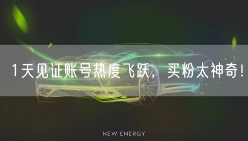 1天见证账号热度飞跃，买粉太神奇！