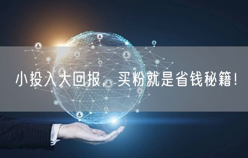 小投入大回报，买粉就是省钱秘籍！