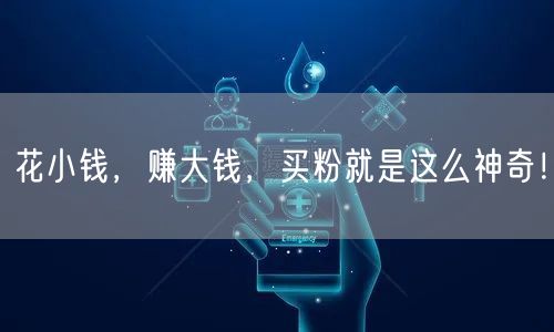 花小钱，赚大钱，买粉就是这么神奇！