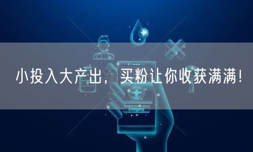 小投入大产出，买粉让你收获满满！