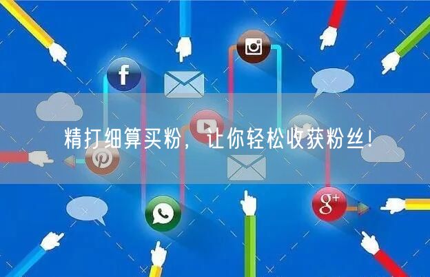 精打细算买粉，让你轻松收获粉丝！