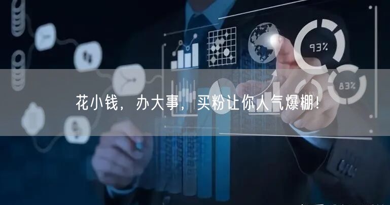 花小钱，办大事，买粉让你人气爆棚！
