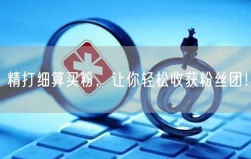 精打细算买粉，让你轻松收获粉丝团！