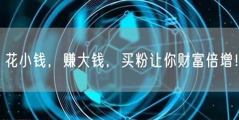 花小钱，赚大钱，买粉让你财富倍增！
