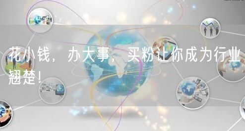 花小钱，办大事，买粉让你成为行业翘楚！