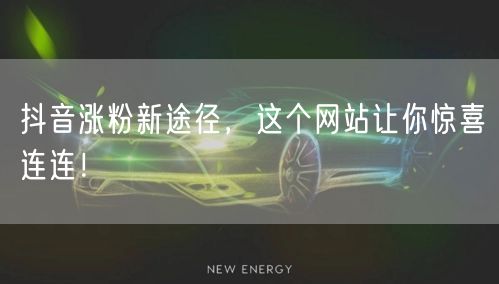 抖音涨粉新途径，这个网站让你惊喜连连！