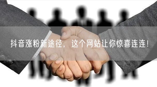 抖音涨粉新途径，这个网站让你惊喜连连！