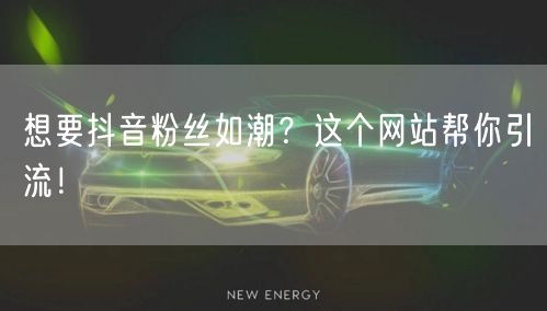 想要抖音粉丝如潮？这个网站帮你引流！