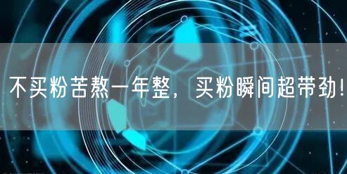 不买粉苦熬一年整，买粉瞬间超带劲！
