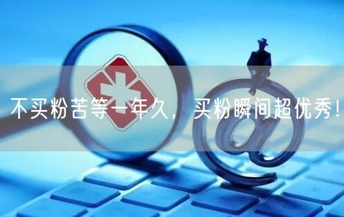 不买粉苦等一年久，买粉瞬间超优秀！