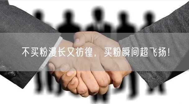 不买粉漫长又彷徨，买粉瞬间超飞扬！