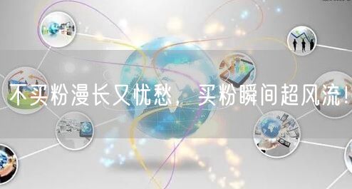 不买粉漫长又忧愁，买粉瞬间超风流！