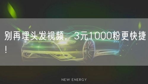 别再埋头发视频，3元1000粉更快捷！