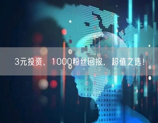 3元投资，1000粉丝回报，超值之选！