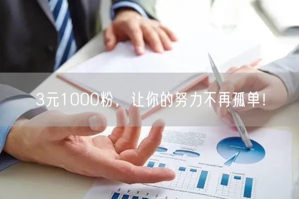 3元1000粉，让你的努力不再孤单！