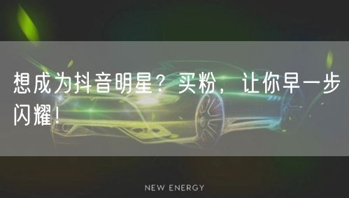 想成为抖音明星？买粉，让你早一步闪耀！