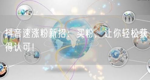 抖音速涨粉新招：买粉，让你轻松获得认可！