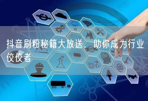抖音刷粉秘籍大放送，助你成为行业佼佼者