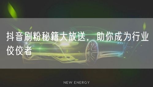 抖音刷粉秘籍大放送，助你成为行业佼佼者