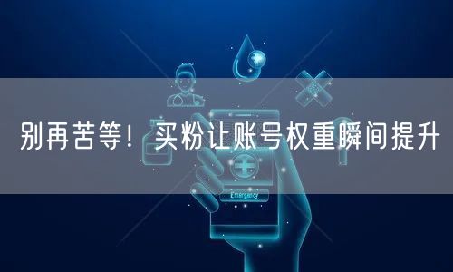 别再苦等！买粉让账号权重瞬间提升