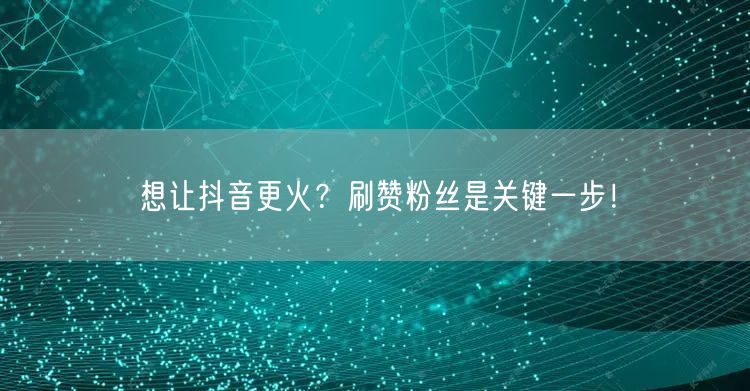 想让抖音更火？刷赞粉丝是关键一步！